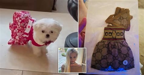 britney spears fake gucci|Britney Spears buys tiny Gucci bikini for pet dog .